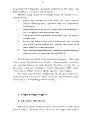 Europos centrinio banko (ECB) pinigų politikos bei atliekamų operacijų apžvalga ir vertinimas 19 puslapis