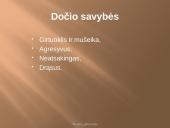 Donelaičio „Metai“ veikėjas Dočys 2 puslapis