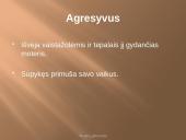 Donelaičio „Metai“ veikėjas Dočys 4 puslapis