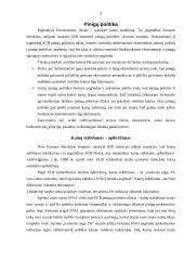 Europos centrinis bankas (ECB) ir jo funkcijos 5 puslapis