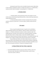 Vilniaus miesto kultūros politikos gairės bendroje miesto strategijoje  4 puslapis