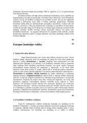 Europos Komisija (EK) 2 puslapis