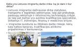 Imigracijos kryptys ir srautai Lietuvoje 11 puslapis
