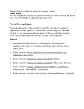 Kūrėjo tema XX a. lietuvių literatūroje. Planas 2 puslapis