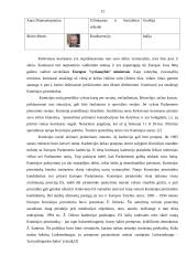 Europos Komisija (EK), jos veikla bei struktūra 12 puslapis