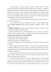 Europos Komisija (EK), jos veikla bei struktūra 3 puslapis