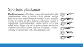 Sportinis plaukimas ir traumų prevencija 11 puslapis