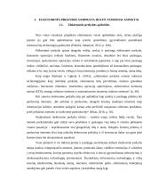 Uždarosios akcinės bendrovės „Zapa lt“ e-parduotuvės projekto kūrimas ir jo efektyvumo analizė 4 puslapis