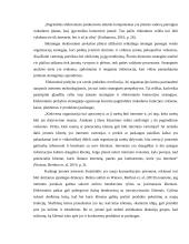 Uždarosios akcinės bendrovės „Zapa lt“ e-parduotuvės projekto kūrimas ir jo efektyvumo analizė 8 puslapis