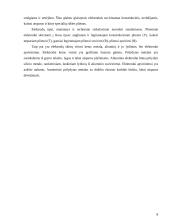 Suvirinimo referatas 8 puslapis