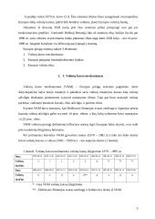 Europos pinigų sistema. Jos privalumai, funkcionavimo sunkumai 5 puslapis