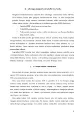 Europos pinigų sistema. Jos privalumai, funkcionavimo sunkumai 6 puslapis