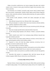 Europos pinigų sistema. Jos privalumai, funkcionavimo sunkumai 8 puslapis