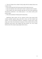 Europos pinigų sistema. Jos privalumai, funkcionavimo sunkumai 10 puslapis