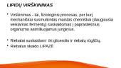 Lipidų virškinimas, rezorbcija 2 puslapis