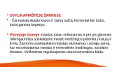 Lipidų virškinimas, rezorbcija 4 puslapis