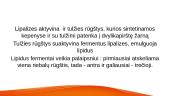Lipidų virškinimas, rezorbcija 5 puslapis