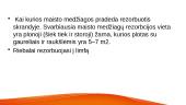 Lipidų virškinimas, rezorbcija 7 puslapis