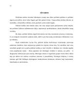 Europos politinės kultūros ypatumai 11 puslapis