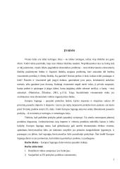 Europos sąjunga — pasaulinės rinkos dalyvis 2 puslapis