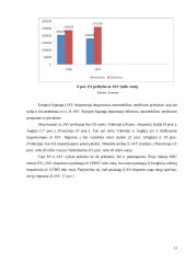 Europos sąjunga — pasaulinės rinkos dalyvis 11 puslapis
