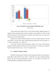 Europos sąjunga — pasaulinės rinkos dalyvis 13 puslapis