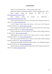 Europos sąjunga — pasaulinės rinkos dalyvis 20 puslapis