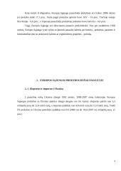 Europos sąjunga — pasaulinės rinkos dalyvis 9 puslapis