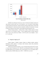 Europos sąjunga — pasaulinės rinkos dalyvis 10 puslapis