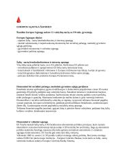 Europos Sąjungos istorija bei raida 2 puslapis