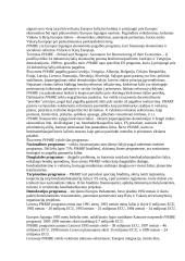 Europos Sąjungos istorija bei raida 8 puslapis