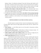 Trumpai apie Europos Sąjungą 5 puslapis