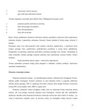 Europos Sąjungos atsiradimas ir raida 13 puslapis