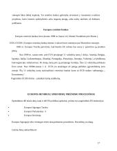 Europos Sąjungos atsiradimas ir raida 17 puslapis