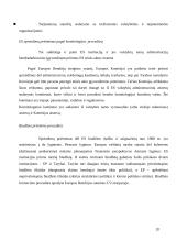 Europos Sąjungos atsiradimas ir raida 20 puslapis