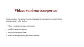 Transportas, kaip logistikos grandinės sudėtinė dalis 13 puslapis