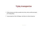 Transportas, kaip logistikos grandinės sudėtinė dalis 15 puslapis