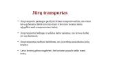 Transportas, kaip logistikos grandinės sudėtinė dalis 17 puslapis