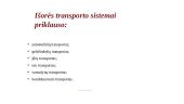Transportas, kaip logistikos grandinės sudėtinė dalis 6 puslapis