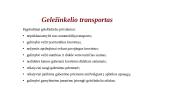 Transportas, kaip logistikos grandinės sudėtinė dalis 10 puslapis
