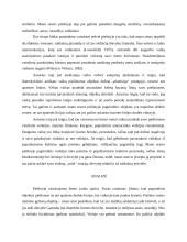 Piešinio analizė 2 puslapis