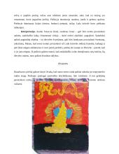 Piešinio analizė 3 puslapis