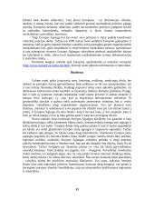 Europos Sąjungos (ES) praktikos ataskaita 13 puslapis