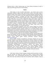 Europos Sąjungos (ES) praktikos ataskaita 15 puslapis