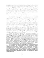 Europos Sąjungos (ES) praktikos ataskaita 17 puslapis