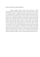 Socialinės atsakomybės samprata 3 puslapis