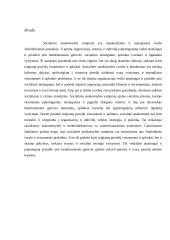 Socialinės atsakomybės samprata 6 puslapis