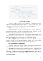 IT vystymasis transporto srityje 11 puslapis