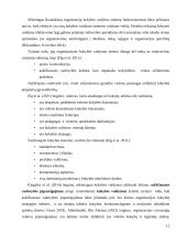 Vadovo vaidmuo kokybės valdyme 11 puslapis