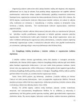 Vadovo vaidmuo kokybės valdyme 14 puslapis